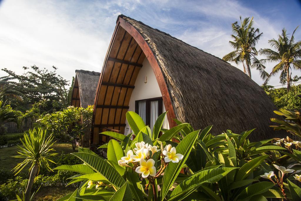 Diversia Diving Club & Bungalows Гили Траванган Экстерьер фото
