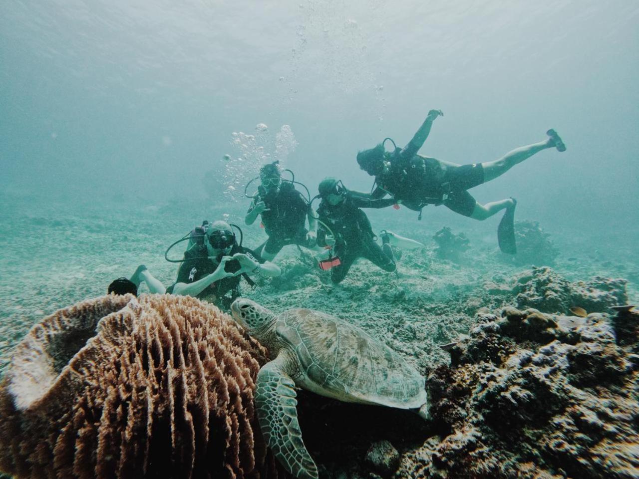 Diversia Diving Club & Bungalows Гили Траванган Экстерьер фото